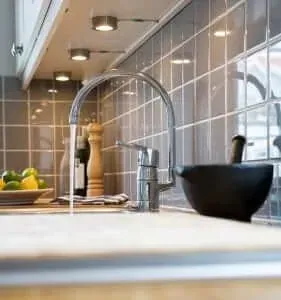 Mastering the Do's and Don'ts with Your Garbage Disposal